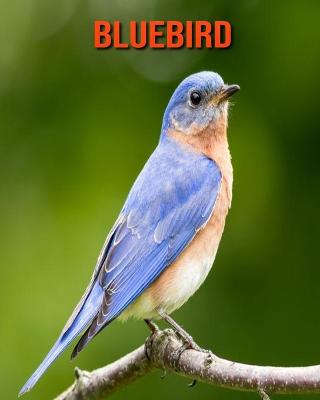 Book cover for Bluebird