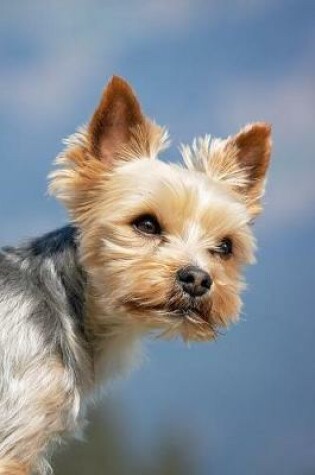 Cover of Attractive Yorkshire Terrier Dog Journal