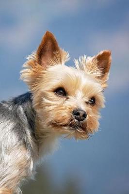 Book cover for Attractive Yorkshire Terrier Dog Journal