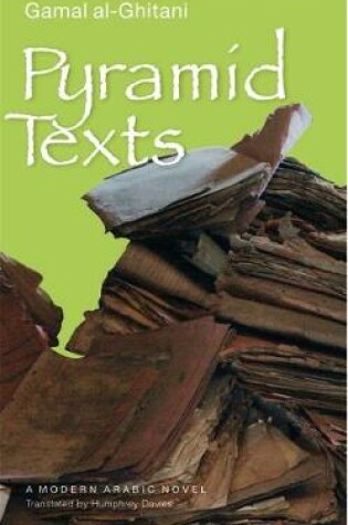 Cover of Pyramid Texts