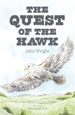 Book cover for The Quest of the Hawk