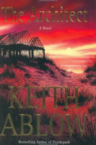 Cover of The Architect