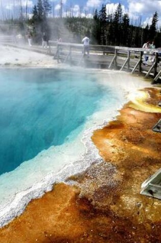 Cover of Yellowstone National Park in Wyoming Sulfur Springs