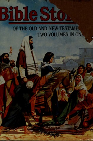 Cover of Bible Stories by Patricia Hunt