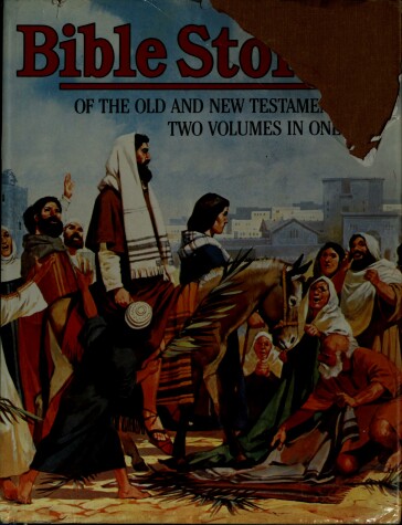 Book cover for Bible Stories by Patricia Hunt