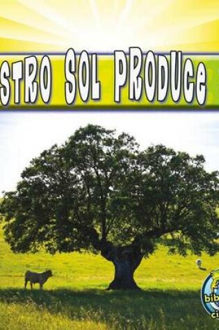 Cover of Nuestro Sol Produce Vida (Our Sun Brings Life)