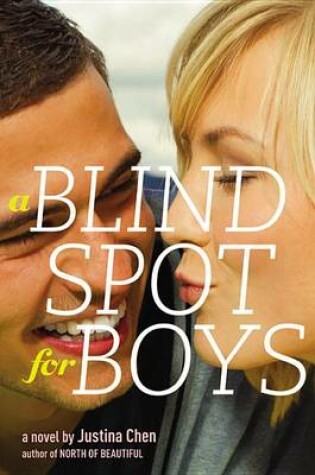 Cover of A Blind Spot for Boys
