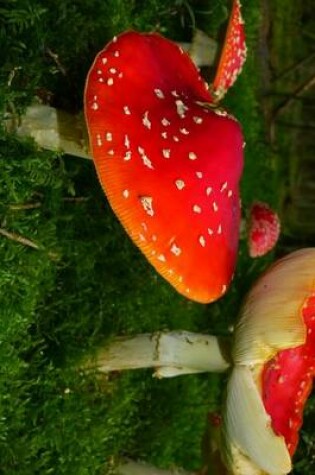 Cover of Amanita Muscaria Fly Agaric Mushroom, for the Love of Nature