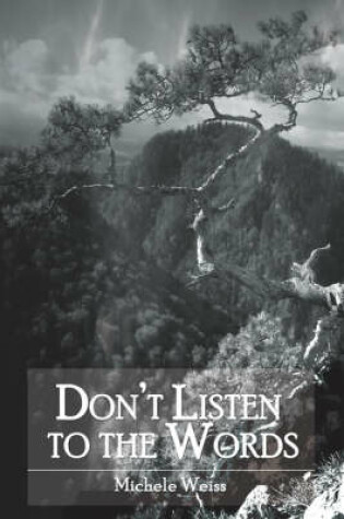 Cover of Don't Listen to the Words