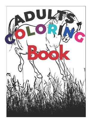 Book cover for Adults Coloring Book