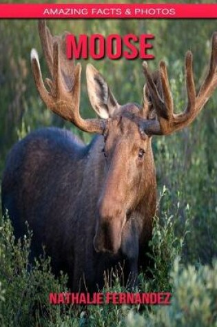 Cover of Moose