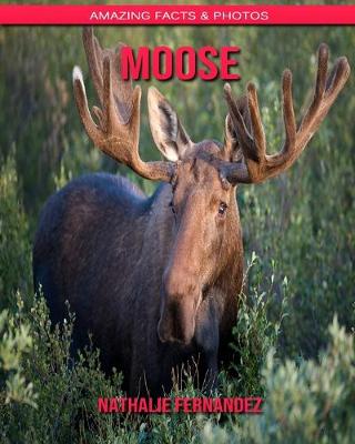 Book cover for Moose