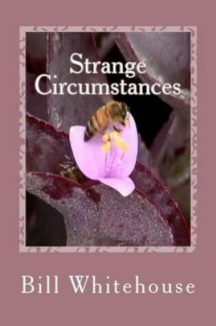 Cover of Strange Circumstances