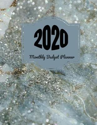 Book cover for 2020 Monthly Budget Planner