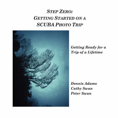 Book cover for Step Zero