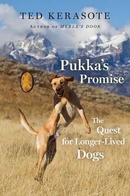 Book cover for Pukka's Promise