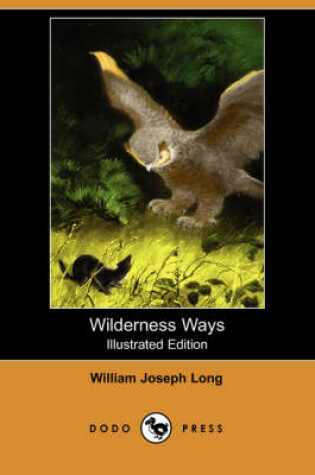 Cover of Wilderness Ways (Illustrated Edition) (Dodo Press)