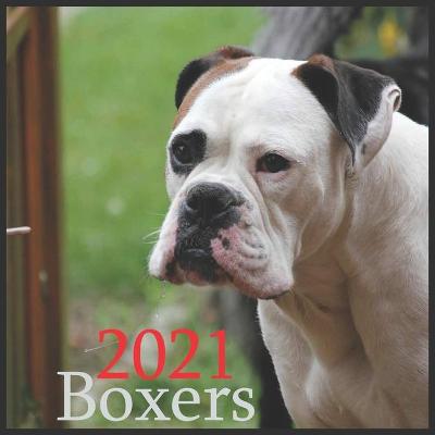 Book cover for Boxers 2021