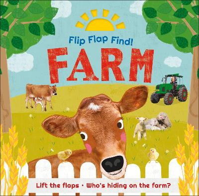 Book cover for Flip Flap Find! Farm