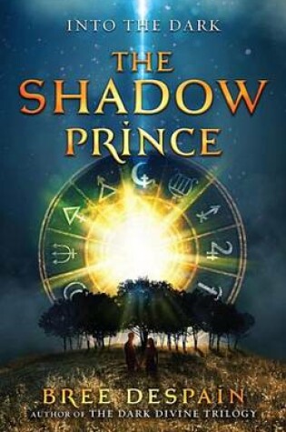 Into the Dark Book #1: The Shadow Prince