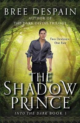 Book cover for The Shadow Prince