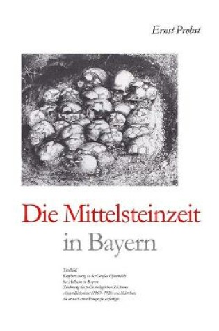 Cover of Die Mittelsteinzeit in Bayern