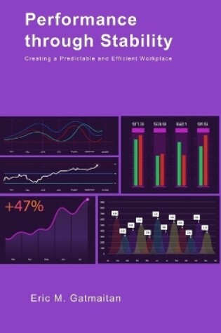 Cover of Performance through Stability