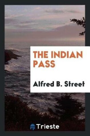 Cover of The Indian Pass