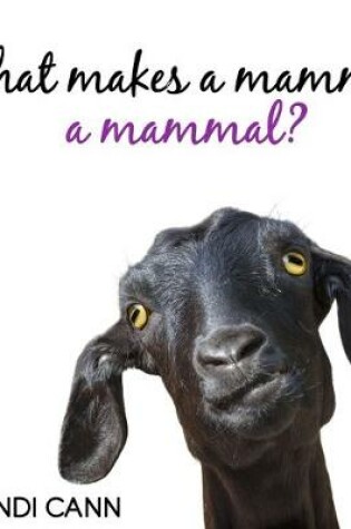 Cover of What Makes a Mammal a Mammal?