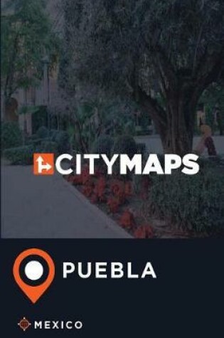 Cover of City Maps Puebla Mexico