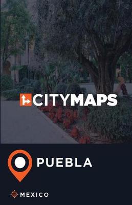 Book cover for City Maps Puebla Mexico