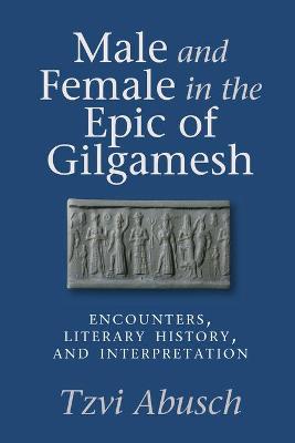 Book cover for Male and Female in the Epic of Gilgamesh