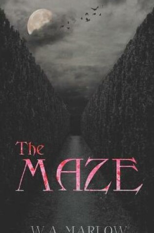 Cover of The Maze