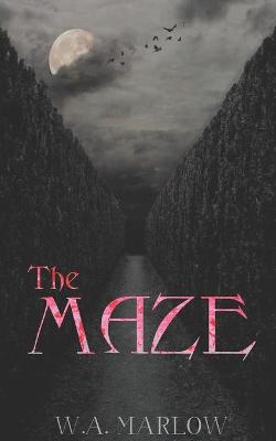 Book cover for The Maze