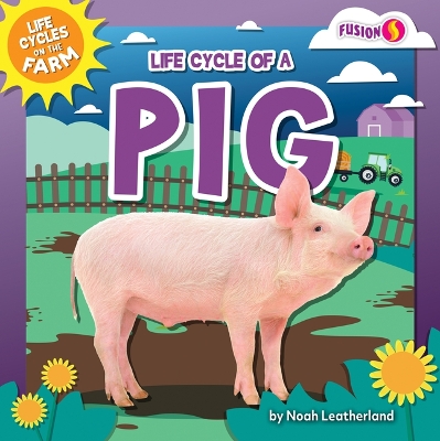 Book cover for Life Cycle of a Pig