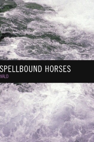 Cover of The Spellbound Horses