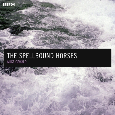 Book cover for The Spellbound Horses