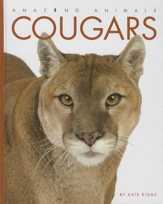 Cover of Cougars