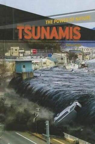 Cover of Tsunamis