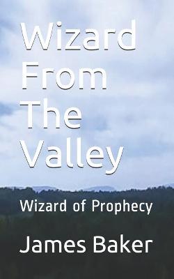 Book cover for Wizard From The Valley