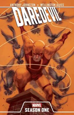 Book cover for Daredevil: Season One