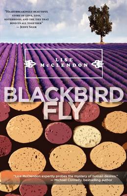 Book cover for Blackbird Fly