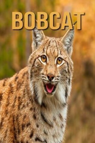 Cover of Bobcat