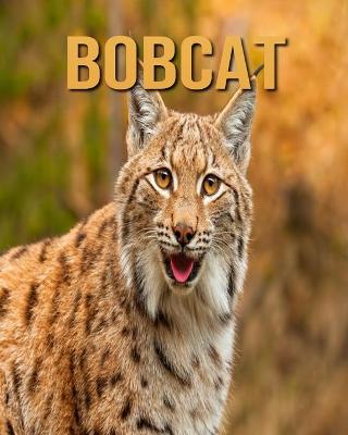 Book cover for Bobcat