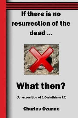 Cover of If There Is No Resurrection