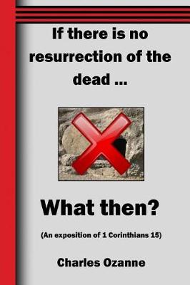 Book cover for If There Is No Resurrection