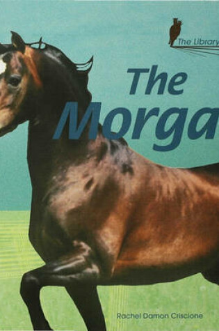 Cover of The Morgan