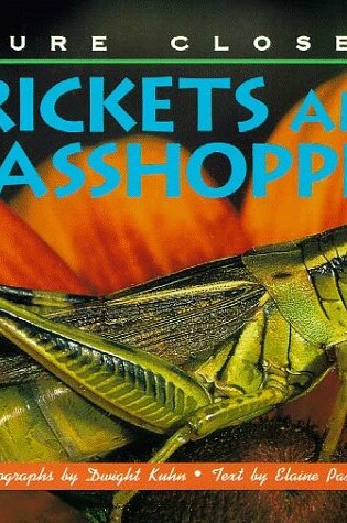 Cover of Crickets and Grasshoppers