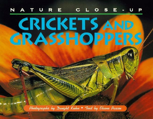 Book cover for Crickets and Grasshoppers
