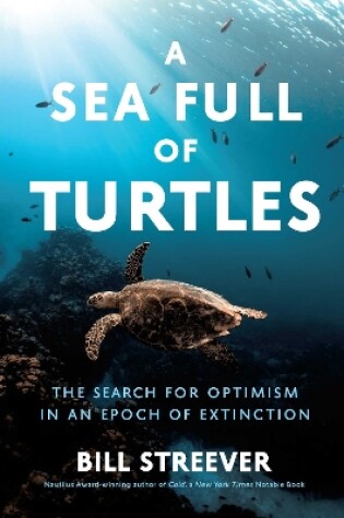 Cover of A Sea Full of Turtles